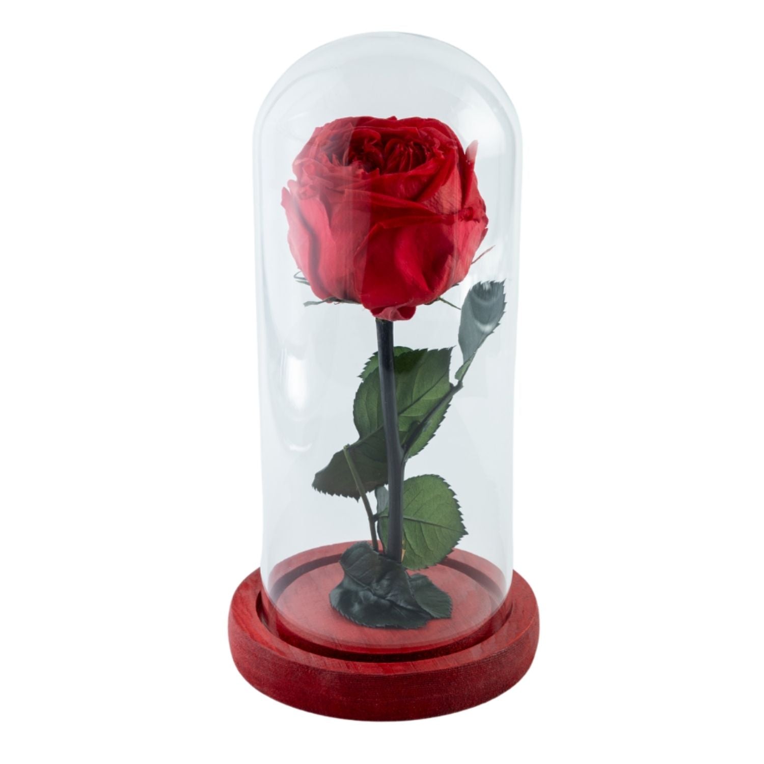 AISHITERU 愛してる