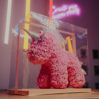Yunikōn ユニコーン — photo 2