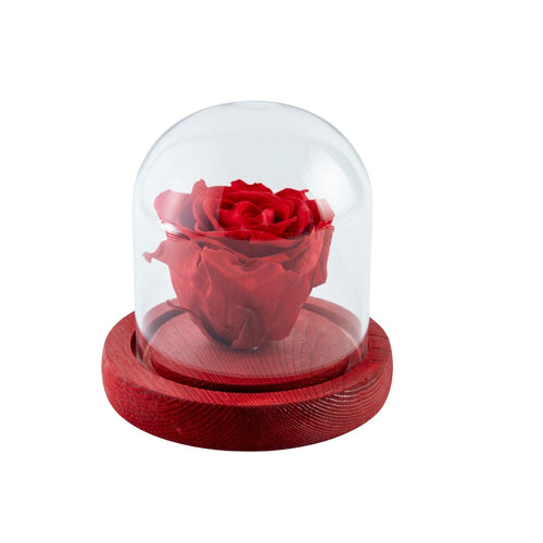 ROSE · 39€
