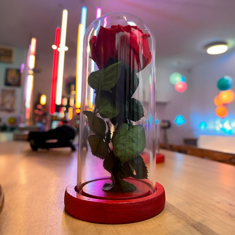 Pack Grand jeux - main propre uniquement