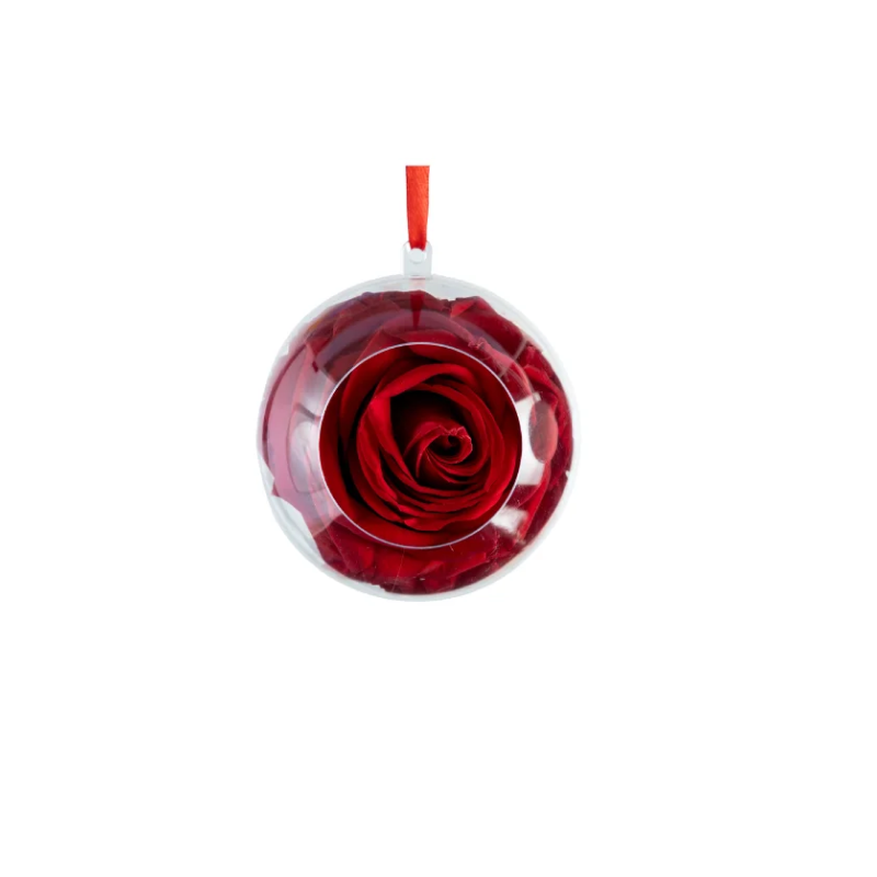 Bubble Rose バブルローズ