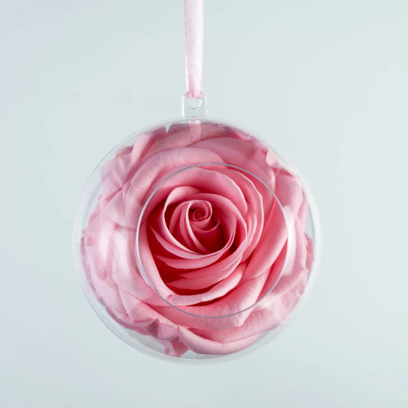 Bubble Rose バブルローズ