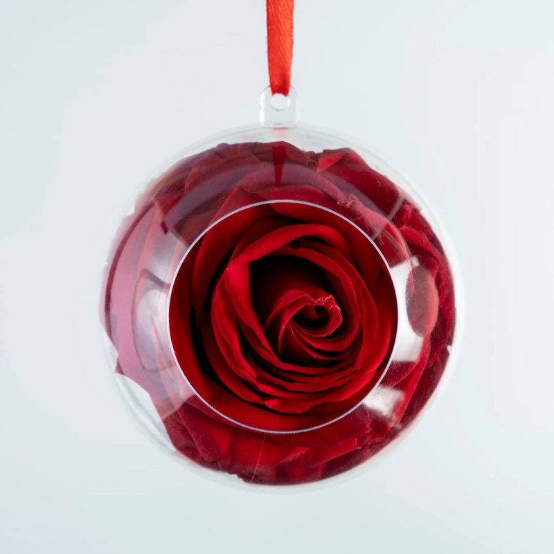 Bubble Rose バブルローズ